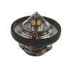 Mopar 68174083AA THERMOSTA
