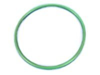 dfa7a4dedfef86dd6d1ec17469ba7a2e Mopar 55366298AA O Ring-Fuel Pump And Level Unit